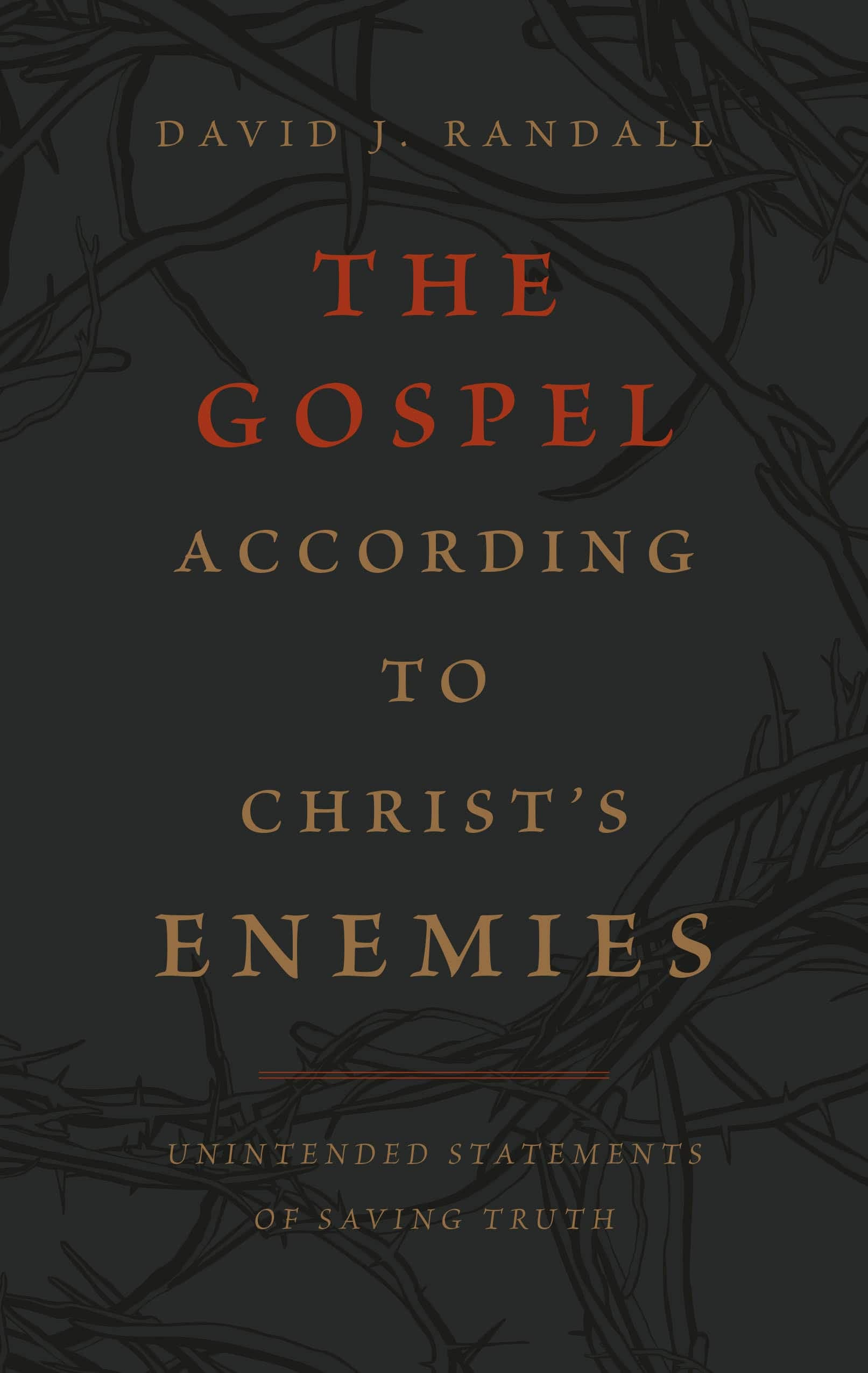 Cover of Gospel according to Christ’s enemies.