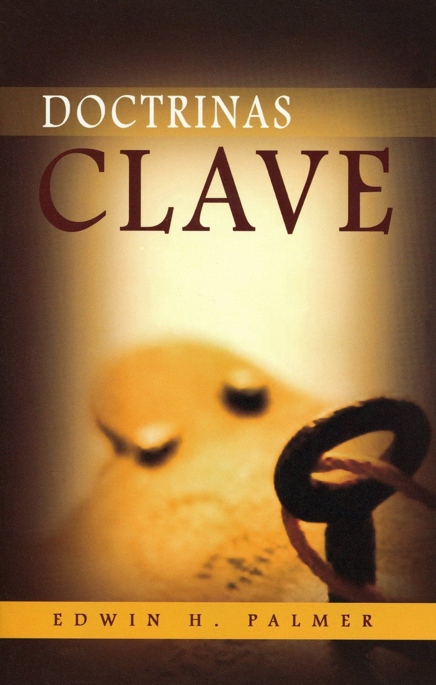 Cover of Doctrinas Clave