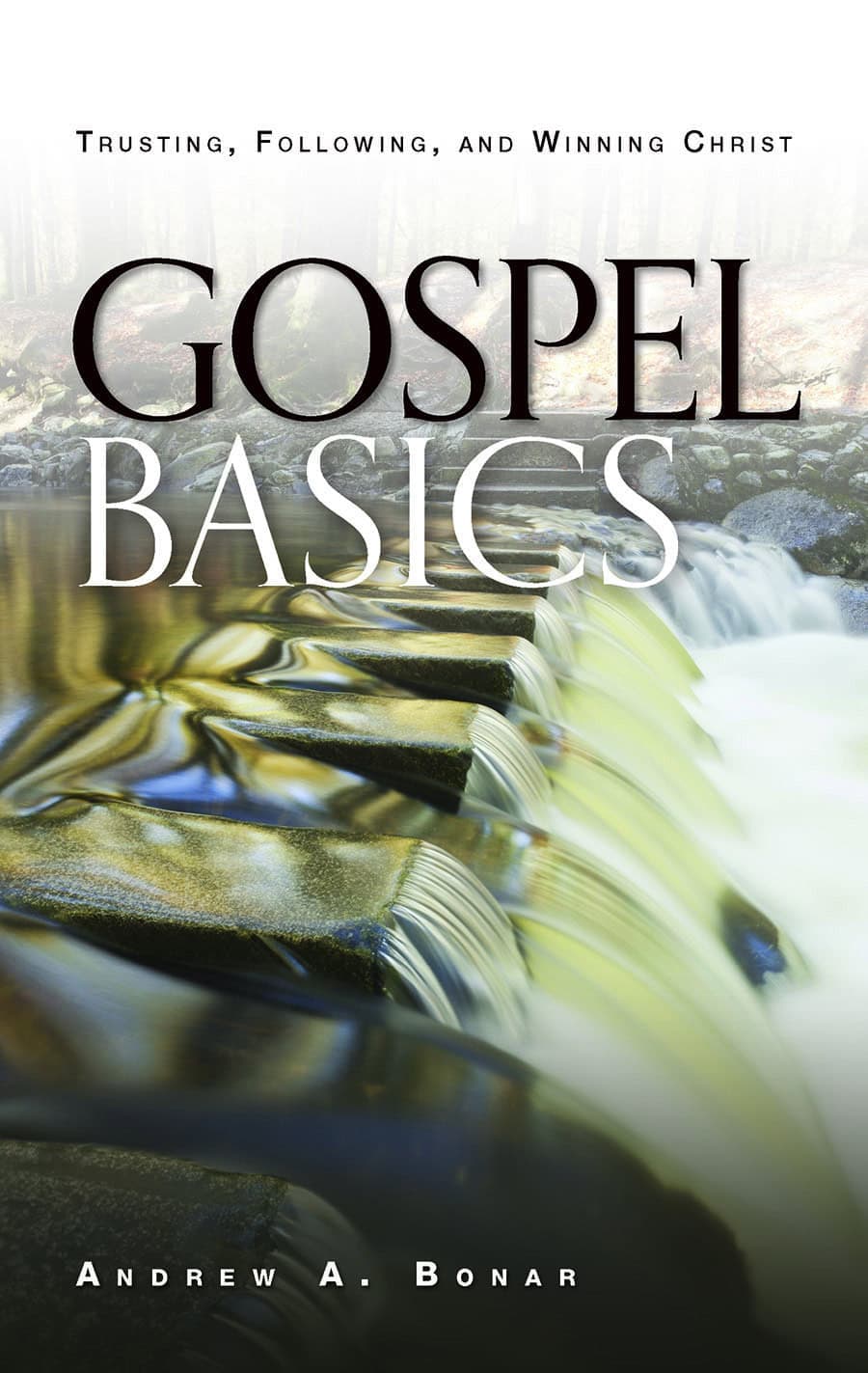 Cover of Gospel Basics