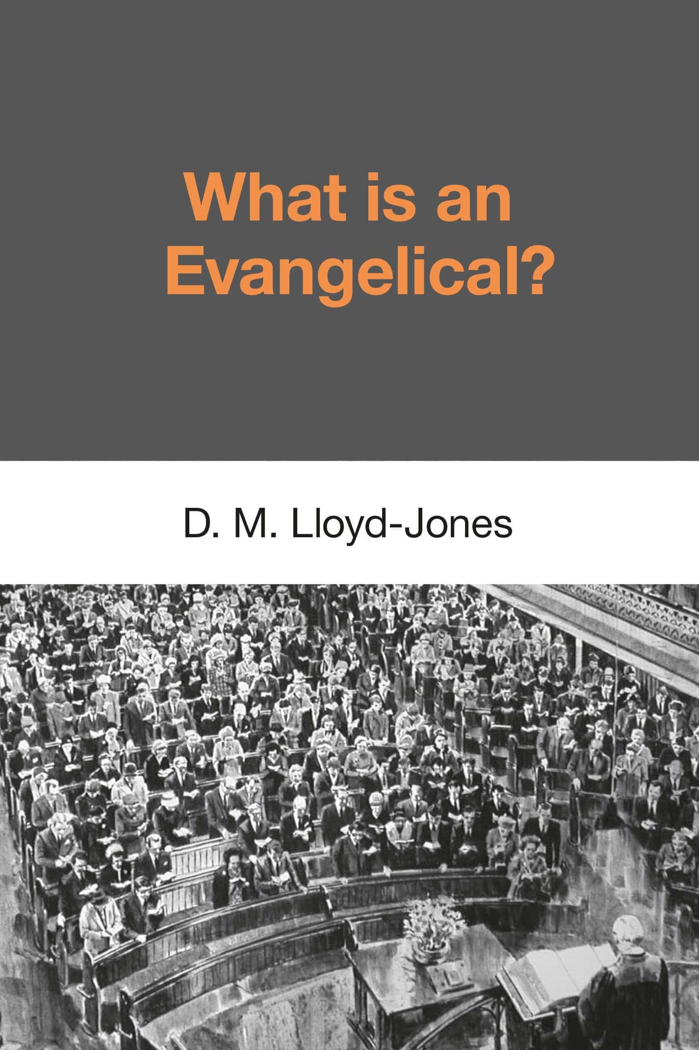 Cover of What Is An Evangelical?