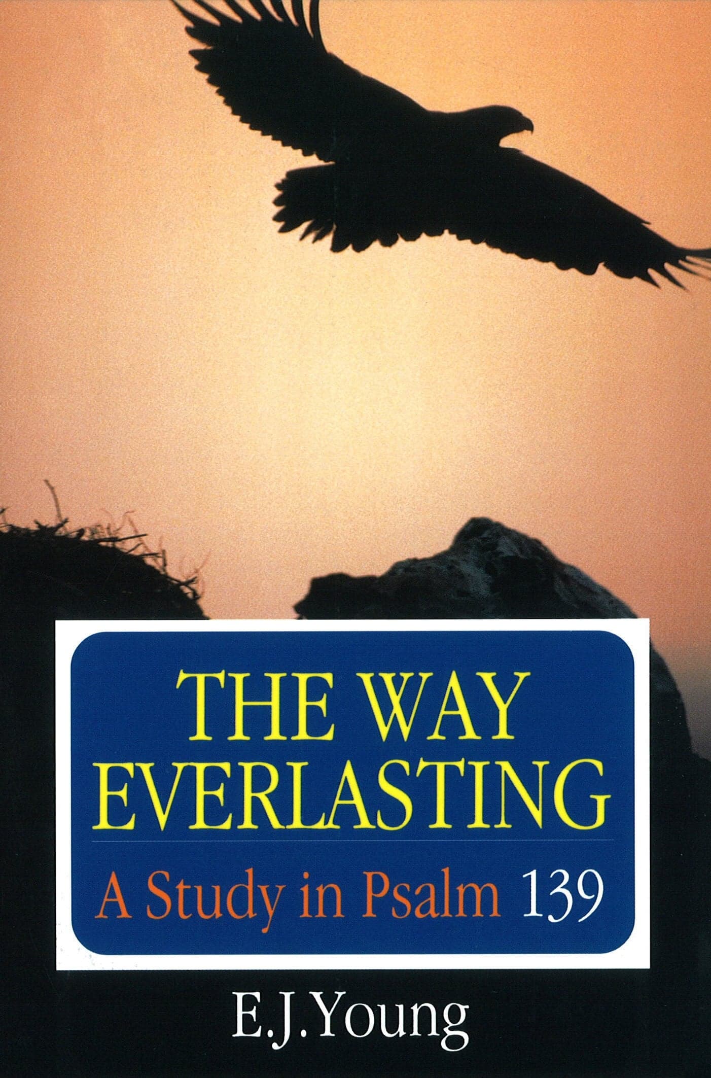 Cover of The Way Everlasting