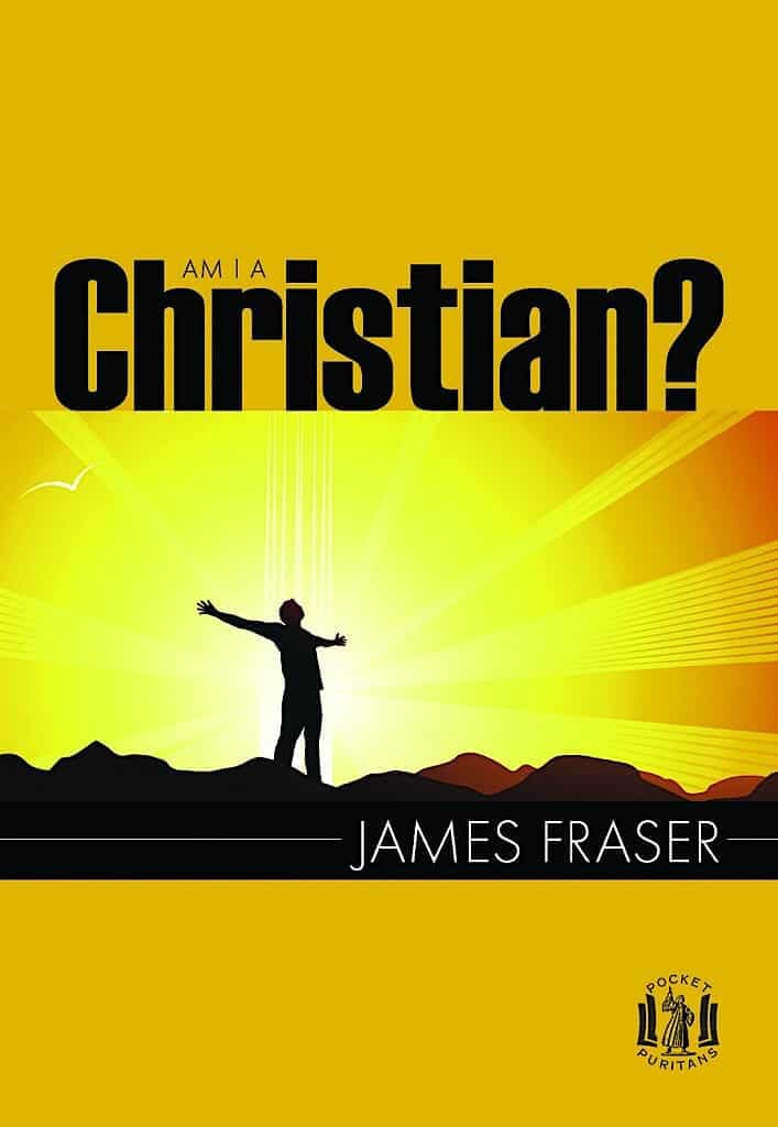 Cover of Am I a Christian?