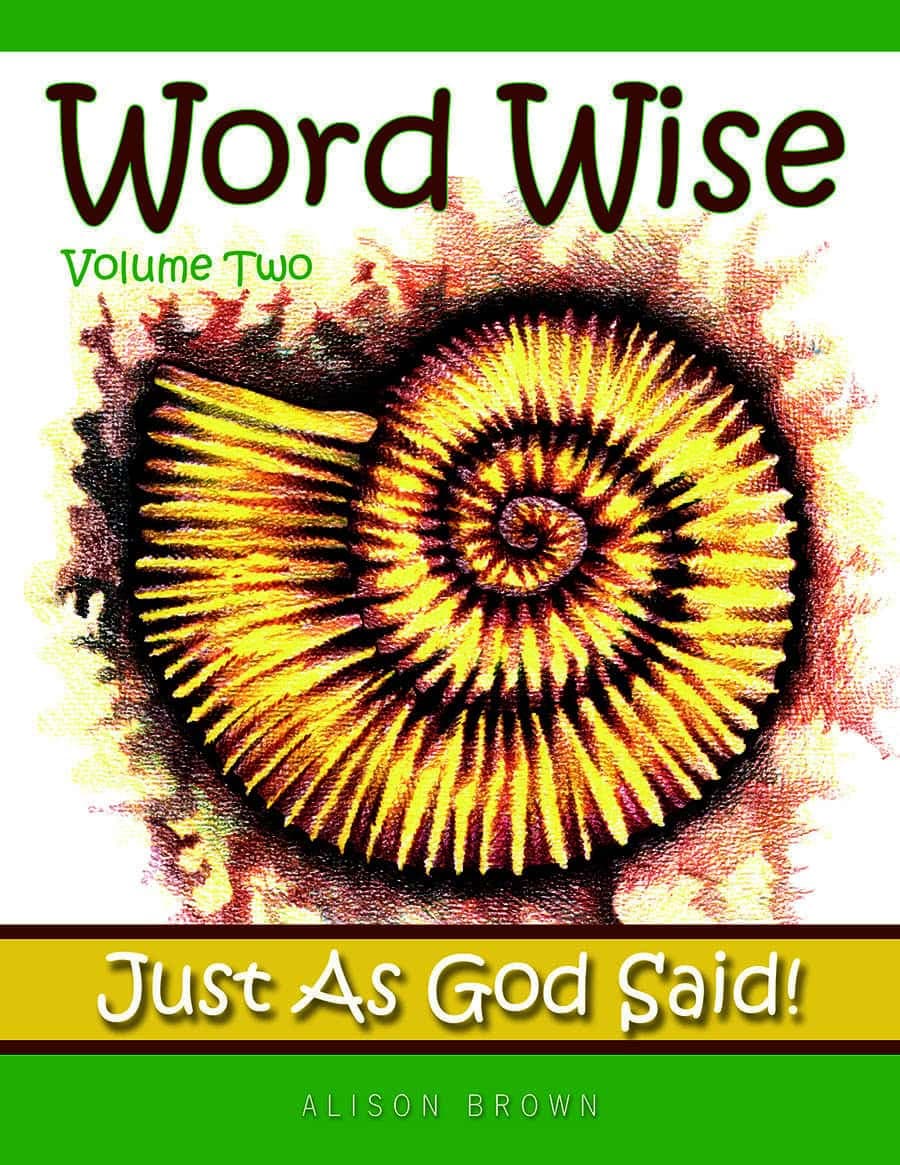 Cover of Word Wise