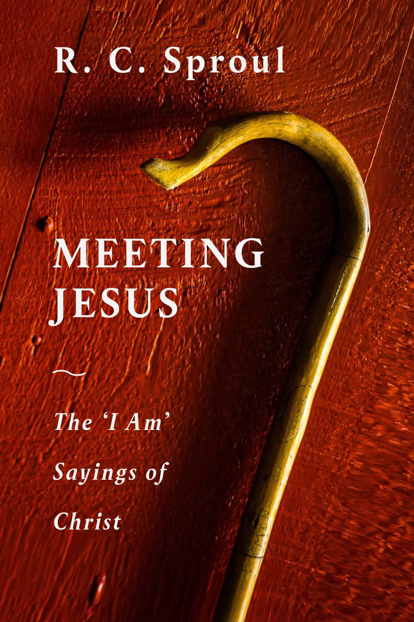 Cover of Meeting Jesus