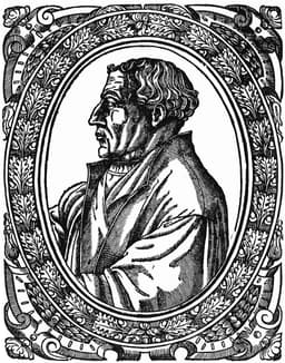 Martin Bucer